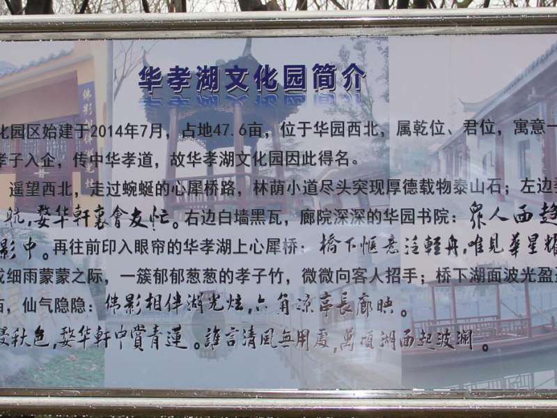 圖片6